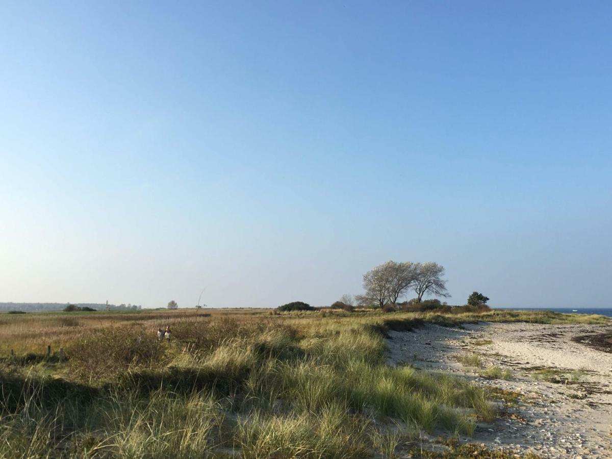 Seesucht-Hohwacht - 110Qm Fewo Mit Toller Lage Am Kiefernweg Екстериор снимка